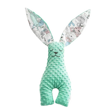 Load image into Gallery viewer, Long Ear Minky Bunny Large (Green)
