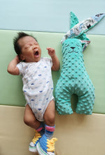 Load image into Gallery viewer, Long Ear Minky Bunny Large (Green)
